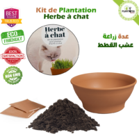 Kit coffret semis et plantation graines herbe à chat et terreau special semis et bol terre cuite- Plantopia Maroc