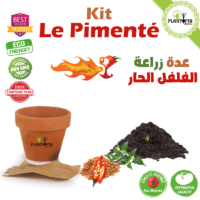 Kit de culture et plantation de piment fort coffret le pimenté - Plantopia Maroc