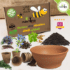 Kit plantation semis Herbes des abeilles avec graines et pots biodegradables et pot terre cuite - Plantopia Maroc