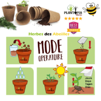Mode operatoire et guide de semis herbes des abeilles par Plantopia Maroc