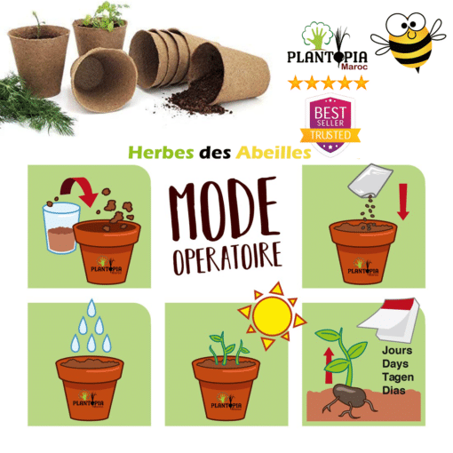 Mode operatoire et guide de semis herbes des abeilles par Plantopia Maroc