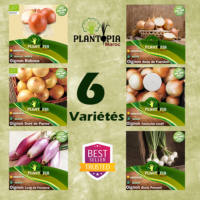 Pack de graines et semence oignon 6 varietes Oignorama - Plantopia Maroc