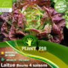 Sachet de graines & semences biologiques de laitue salade merveille beurre 4 saisons - Plantopia Maroc