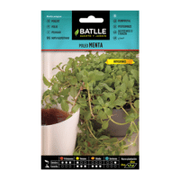 Sachet de graines & semences de menthe pouliot - Plantes aromatiques & medicinales - Plantopia Maroc