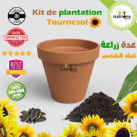 تجميعة زراعة عباد الشمس - Plantopia Maroc - 2 Kit de plantation et semis Tournesol à Caablanca Rabat Bouskoura