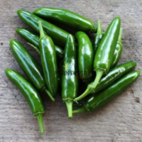 Graines & semences de piment Serrano à Casablanca Rabat Bouskoura Oujda Marrakech Tanger Agadir Fes Sale