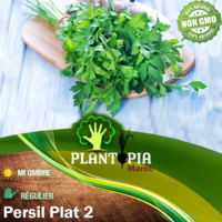 Sachet de graines & semences de persil plat à feuilles lisses Hoja Lissa 2 - Plantopia Maroc