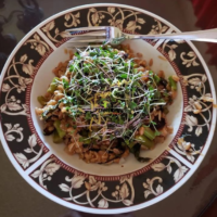 Salade de micropousses de radis au Maroc - Graines pour Salade de micro pousses radis à Casablanca Fes Rabat