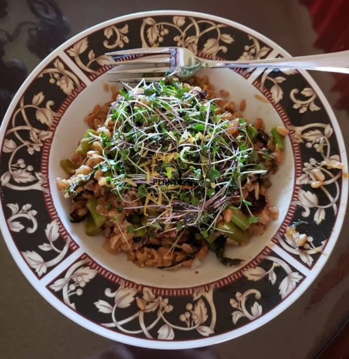 Salade de micropousses de radis au Maroc - Graines pour Salade de micro pousses radis à Casablanca Fes Rabat