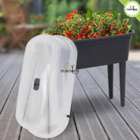 Bac pour potager urbain - Box potager urbain effet mini serre - Jardiniere potager Plantopia Maroc