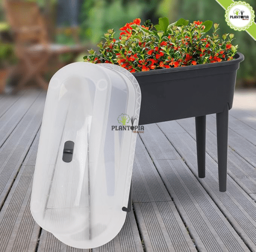Bac pour potager urbain - Box potager urbain effet mini serre - Jardiniere potager Plantopia Maroc