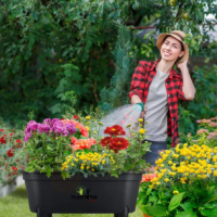 Contenant pour jaridnage urbain et potager par Plantopia Maroc - Jaridniere plante aromatiques