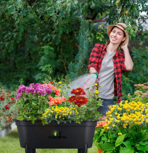 Contenant pour jaridnage urbain et potager par Plantopia Maroc - Jaridniere plante aromatiques
