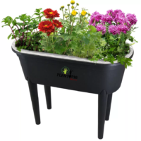 Culture de fleurs à la maison au MAroc - Box contenant de jardinage urbain à effet de serre - Plantopia Maroc