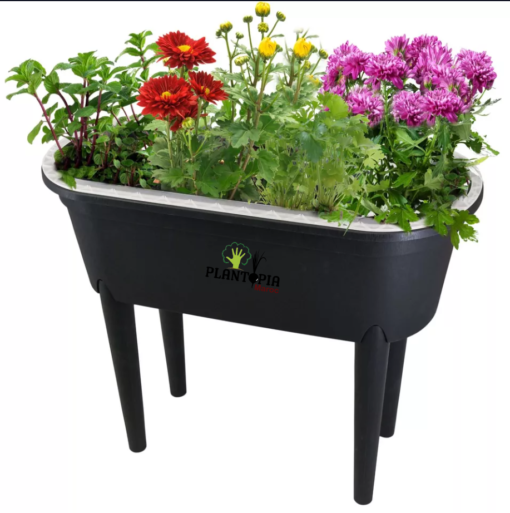 Culture de fleurs à la maison au MAroc - Box contenant de jardinage urbain à effet de serre - Plantopia Maroc