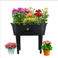Mini serre plastique de jardinage urbain à Oujda Tetouan Nador Laarach Chefchaouen Fnidq Mdiq Laksar Asila