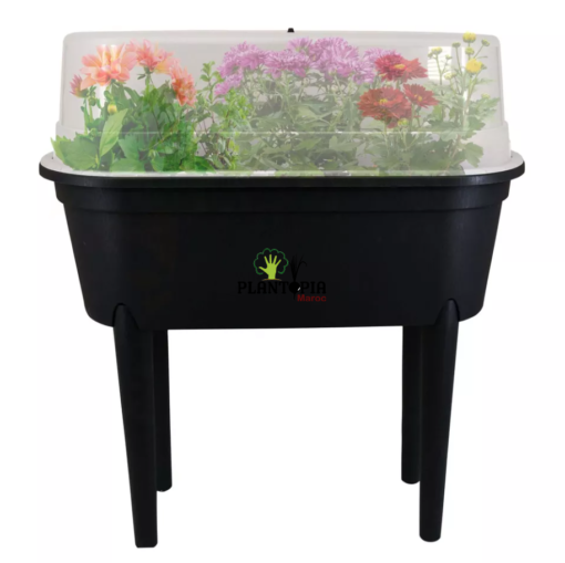 Mini serre pour culture des plantes à Casablanca Rabat Marrakech Salé Tanger Meknes Fes Agadir Essaouira Safi