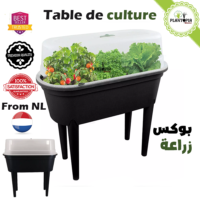 Table de culture potager urbain surélevé pour jardinage urbain avec couvercle et aeration - Mini serre - Plantopia Maroc