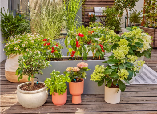 Aménagement terrase et potager urbain arrosage goutte à goutte à Casablanca Marrakech Bouskoura Rabat Fes