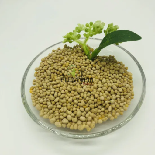 Engrais NPK granulé Boot concentré pour plantes en pot à Casablanca Rabat Marrakech Fes Tanger Sale Agadir