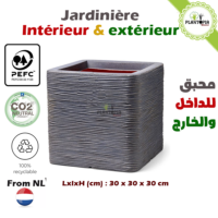 Jardinière pour plantes intérieur et extérieur importé des pays-Bas - Plantopia MAroc
