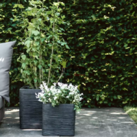 Meilleures jardinieres pour plantes chez Plantopia MAroc - Jardiniere design original