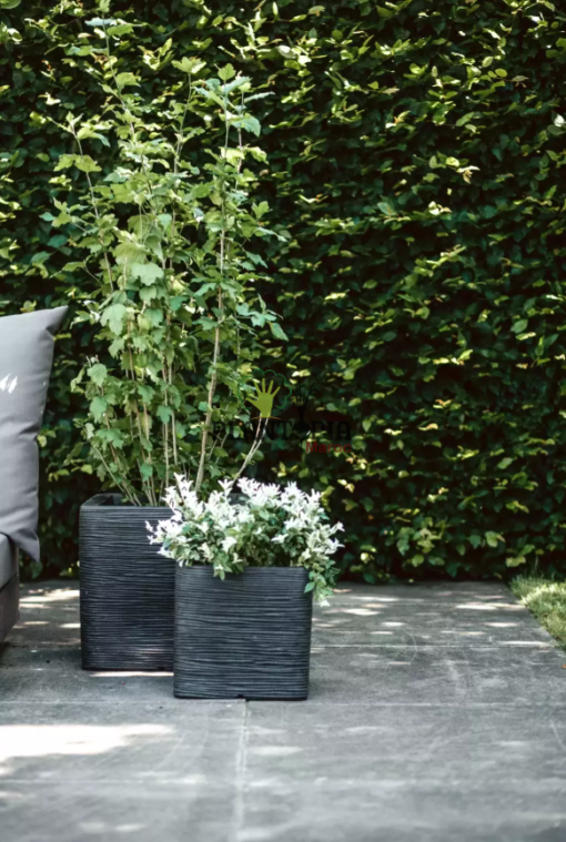 Meilleures jardinieres pour plantes chez Plantopia MAroc - Jardiniere design original