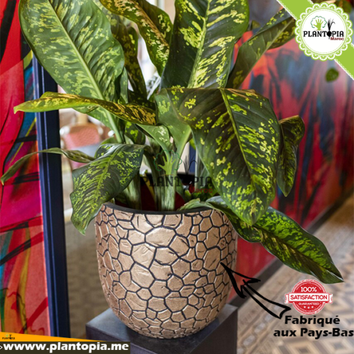 Pot luxe design en forme de boule pour interieur et exterieur à casablanca Rabat Marrakech Bouskoura Tanger
