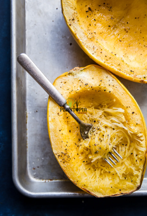 Recette de courge spaghetti vegetale naturelle - Plantopia Maroc