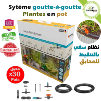 Système d'arrosage & irrigation goutte à goutte pour plantes en pot - 30 Plantes en terrasse - Plantopia Maroc