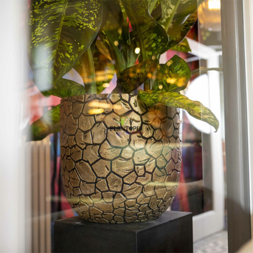 Vente de pot pour fleurs et plantes interieur et terrasse et balcon à Agadir Essaouira Dakhla Sale Fes Meknes Nador