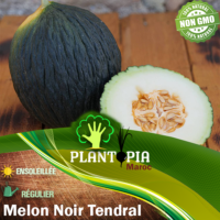 Vente de sachet de graines et semences de melon noir tendral tardif - Plantopia Maroc