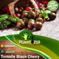 Vente de sachet de graines et semences de tomates cerises noires Black Cherry - Plantopia Maroc