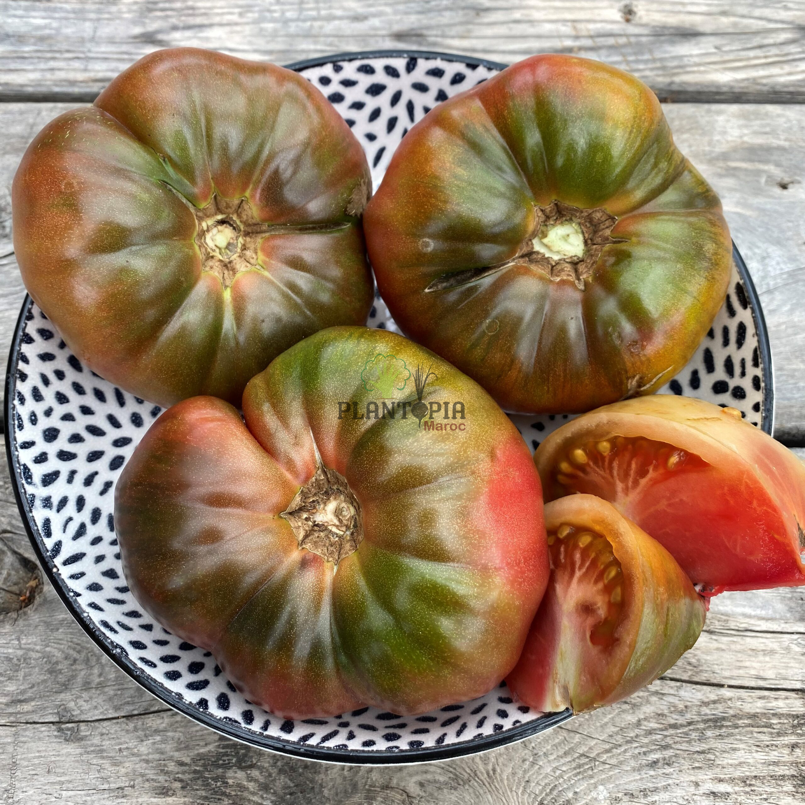 بيع شراء بذور طماطم اصلية سوداء كريميا في الدارالبيضاء الرباط تمارة مراكش بوسكورة دار بوعزة طنجة اكادير - Plantopia