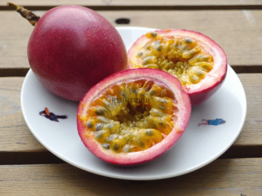 Graine & semences fruit de la passion mauve violet à Essaouira Safi Agadir Oujda Dakhla Beni Mellal Settat