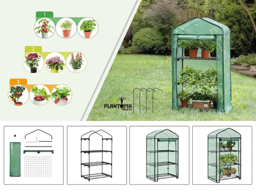Mini serre pour maison avec bâche plastique chez Plantopia MAroc