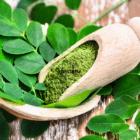 Vente et achat moringa chez Plantopia - Graines & semences de Moringa Oleifera à Essaouira Dakhla Temara