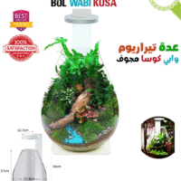Kit Bol Terrarium Wabi Kusa en forme de larme avec lumiere eclairage lampe LED bon prix - Plantopia Maroc