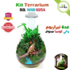 Kit Bol Terrarium en forme de larme qualité prmeium avec lumiere eclairage LED - Plantopia Maroc
