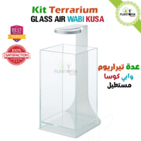 Kit terrarium Glass Air Wabi Kusa avec lumiere magnetique lampe LED à Casablanca Rabat Tanger Marrakech Sale