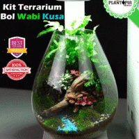 Kit terrarium Wabi Kusa avec eclairae lumiere lampe LED à Oujda Tanger Meknes Fes Houceima Settat Safi Sale