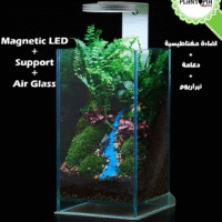 Kit terrarium cube rectangulaire Wabi Kesa avec support et eclairage magnetique LED - Plantopia Maroc