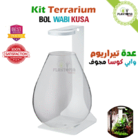 Terrarium Chihiros chez Plantopia Maroc avec lampe LED à Casablanca Marrakech Rabat Temara Sale Tanger