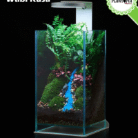 Vente Kit terrarium cube rectangulaire Wabi Kesa avec support et eclairage magnetique LED - Plantopia Maroc