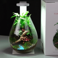 Vente terrarium à rampe LED par Plantopia Maroc à Rabat Kenitra Mehdia Beni Mellal Deroua Oujda Tetouan