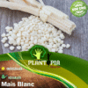 Vente sachet de graines et semences variété ancienne de maïs blanc protéiné à farine - Plantopia Maroc