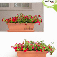 Acheter une jardiniere elegante à bon prix Venezia Plant Box Dark Red à Casablanca Rabat Tanger Agadir