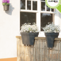 Adresse vendeur et ditributeur de balconnière ovales 60 cm ANTI UV avec drainage - Plantopia Maroc