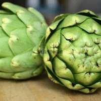 Artichoke Seeds bulk and detail seller in Morocco Plantopia - Graines Artichaut Maroc