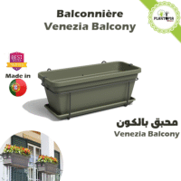 Balconnière Dry Green Venezia Balcony L 60 cm - Plantopia Maroc